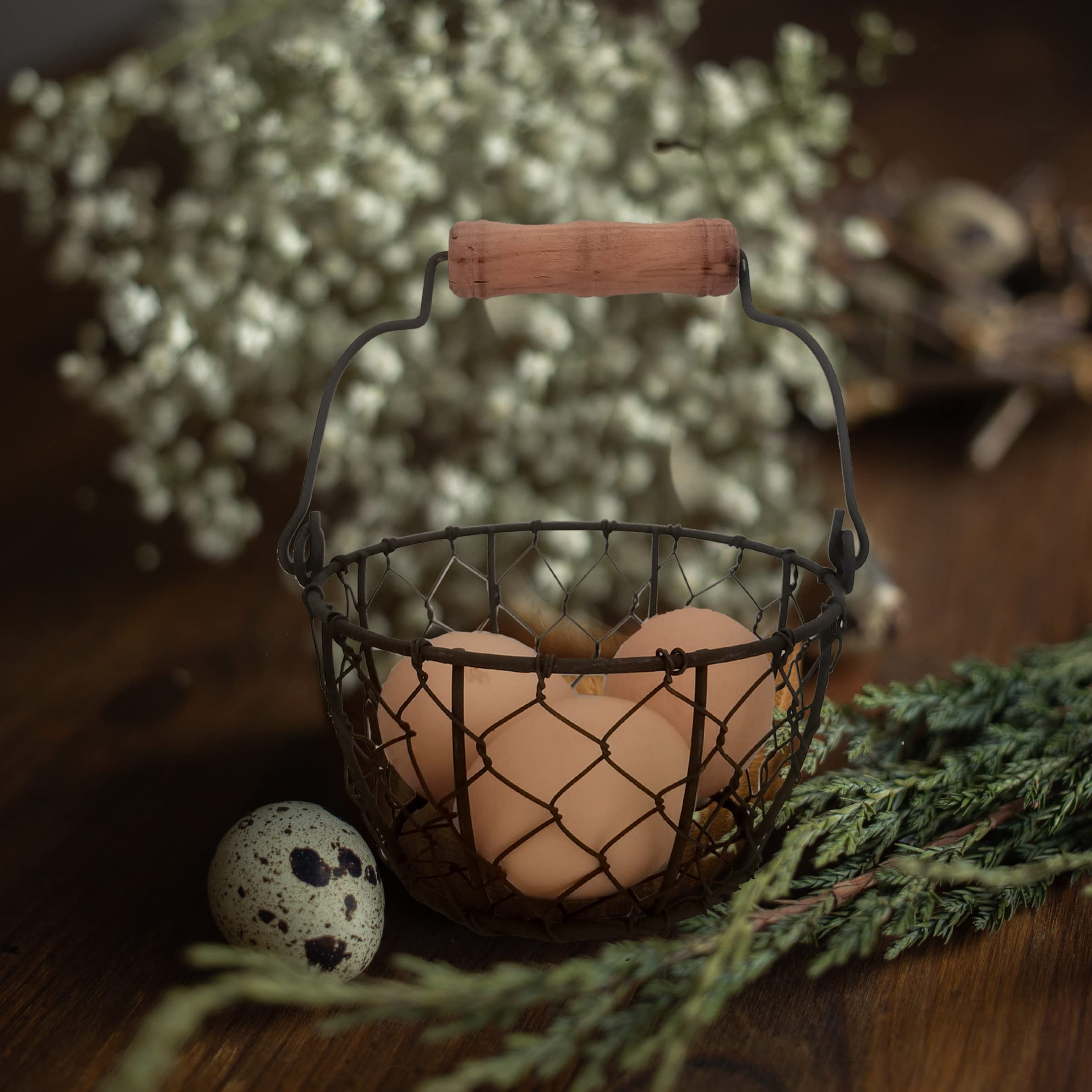 Chicken Eggs